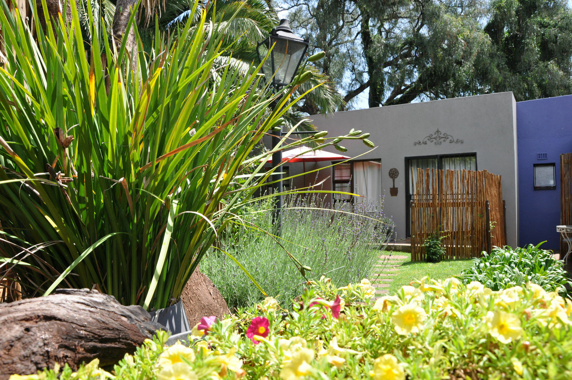 Ginnegaap Guesthouse Johannesburg Buitenkant foto